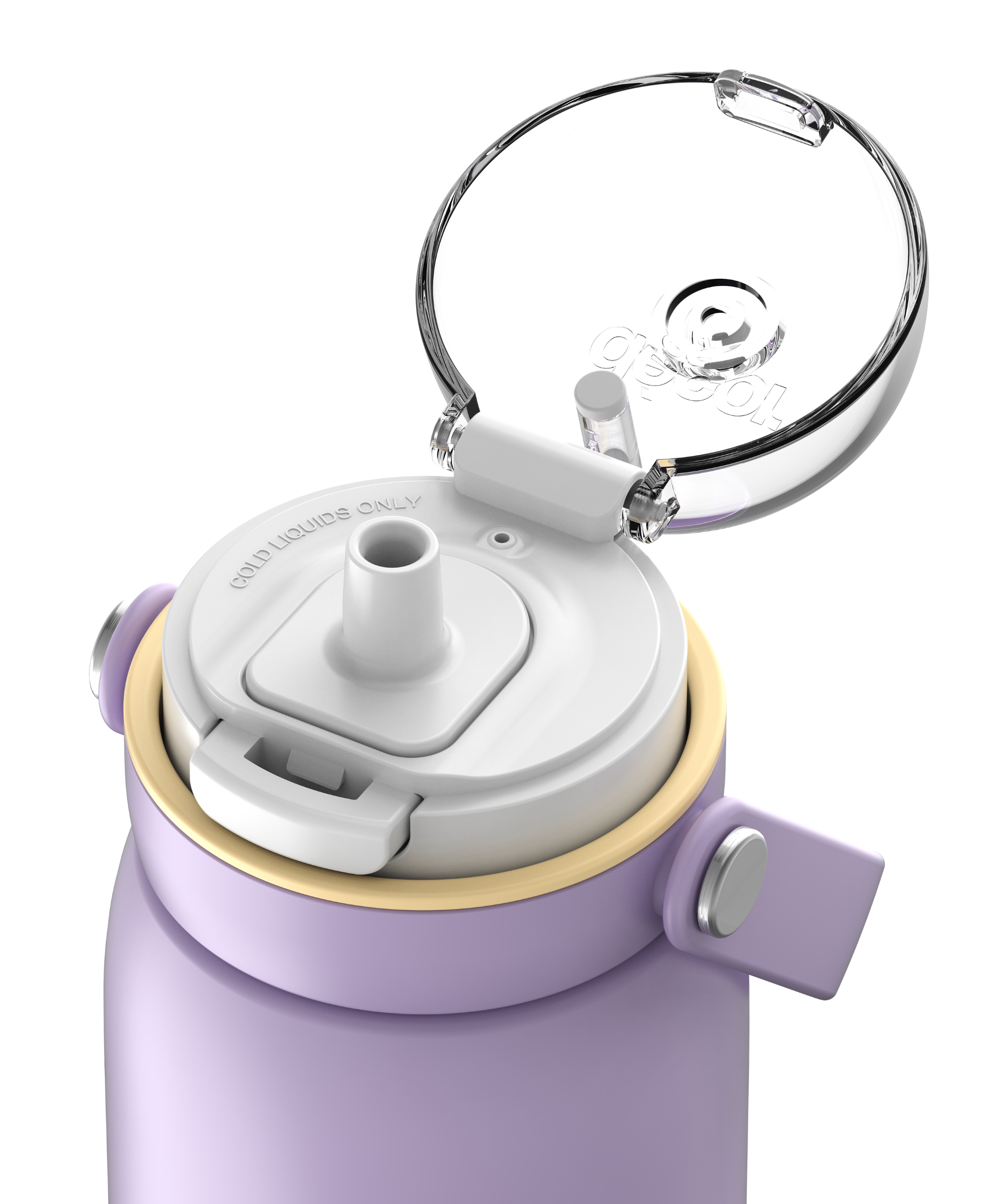 Insulated Stainless Steel Bottle with Deluxe Straw and Flexi Handle, 750ml