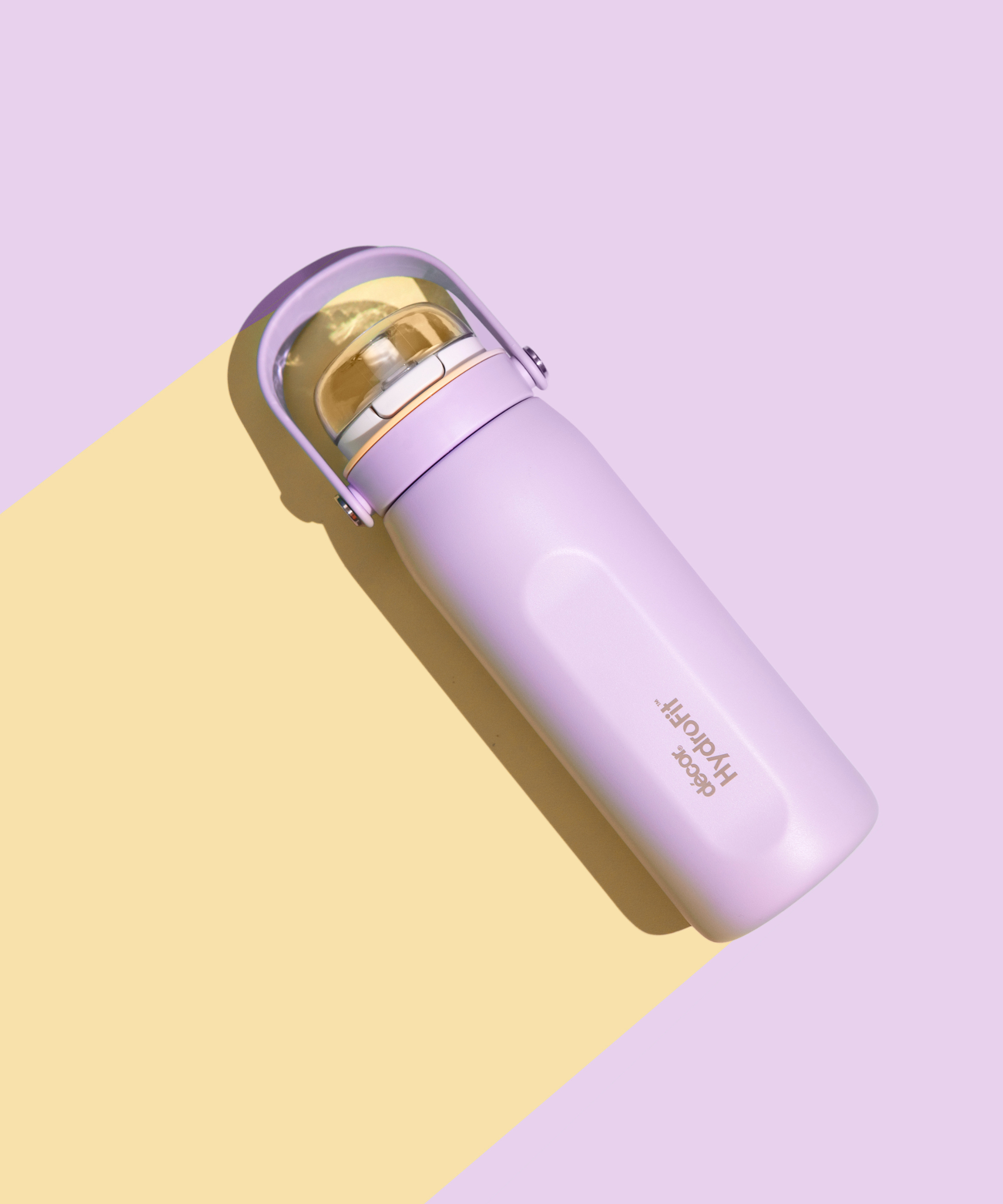 Insulated Stainless Steel Bottle with Deluxe Straw and Flexi Handle, 750ml