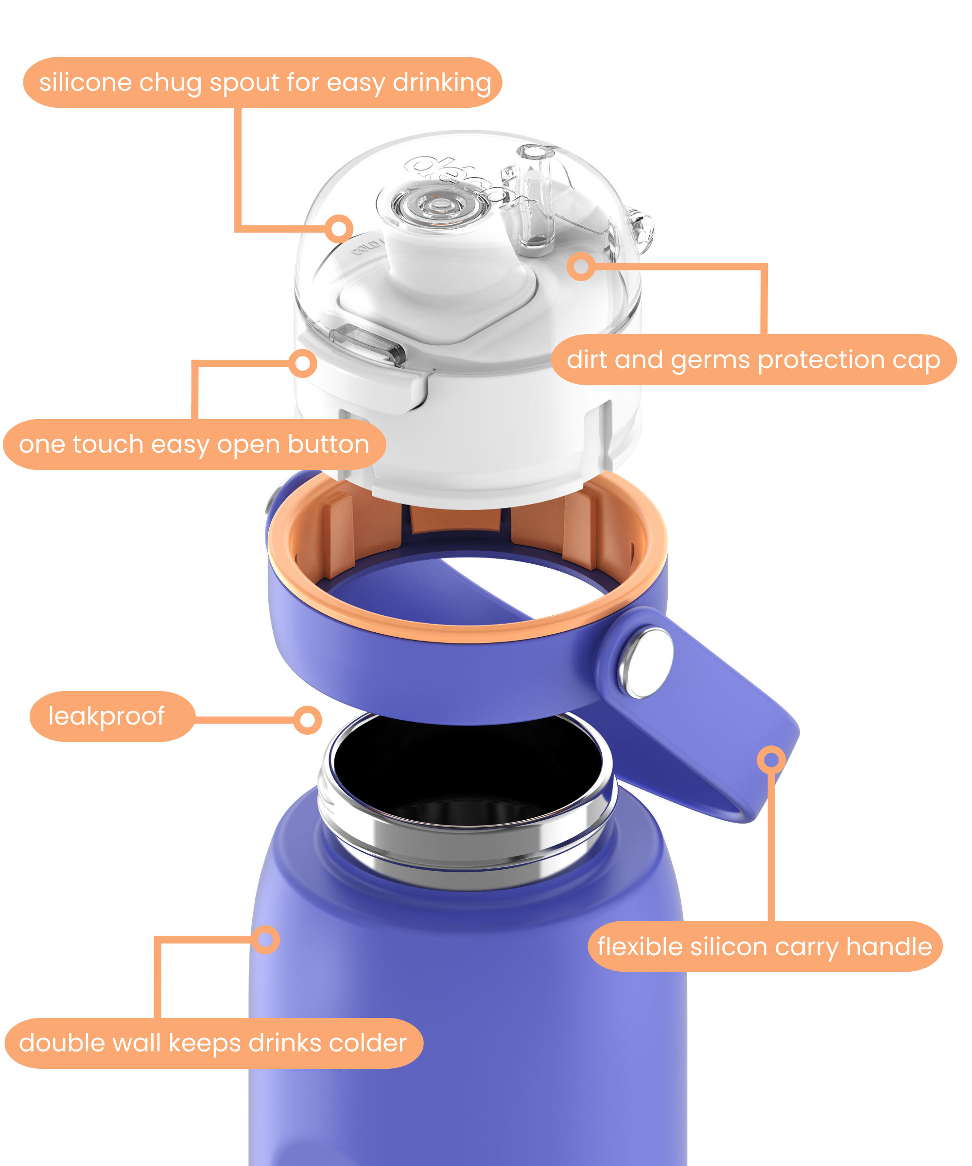 Insulated Stainless Steel Bottle with Deluxe Chug Cap, 750mL