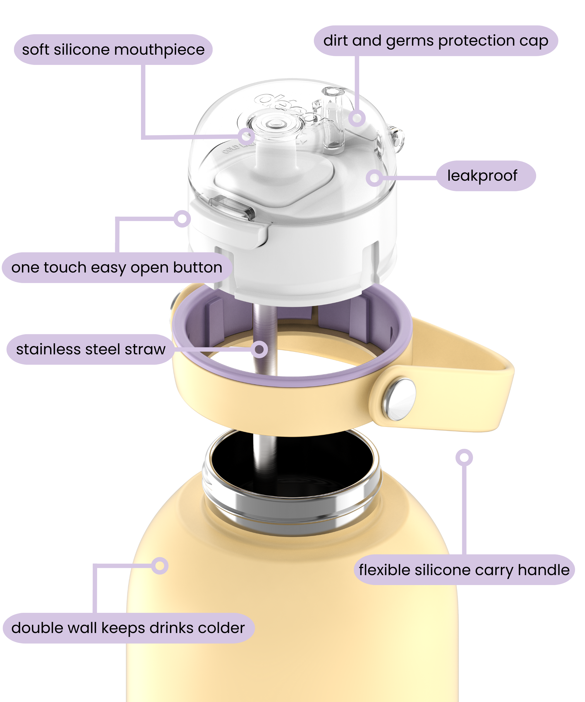 Insulated Stainless Steel Bottle with Deluxe Straw and Flexi Handle, 1.5L