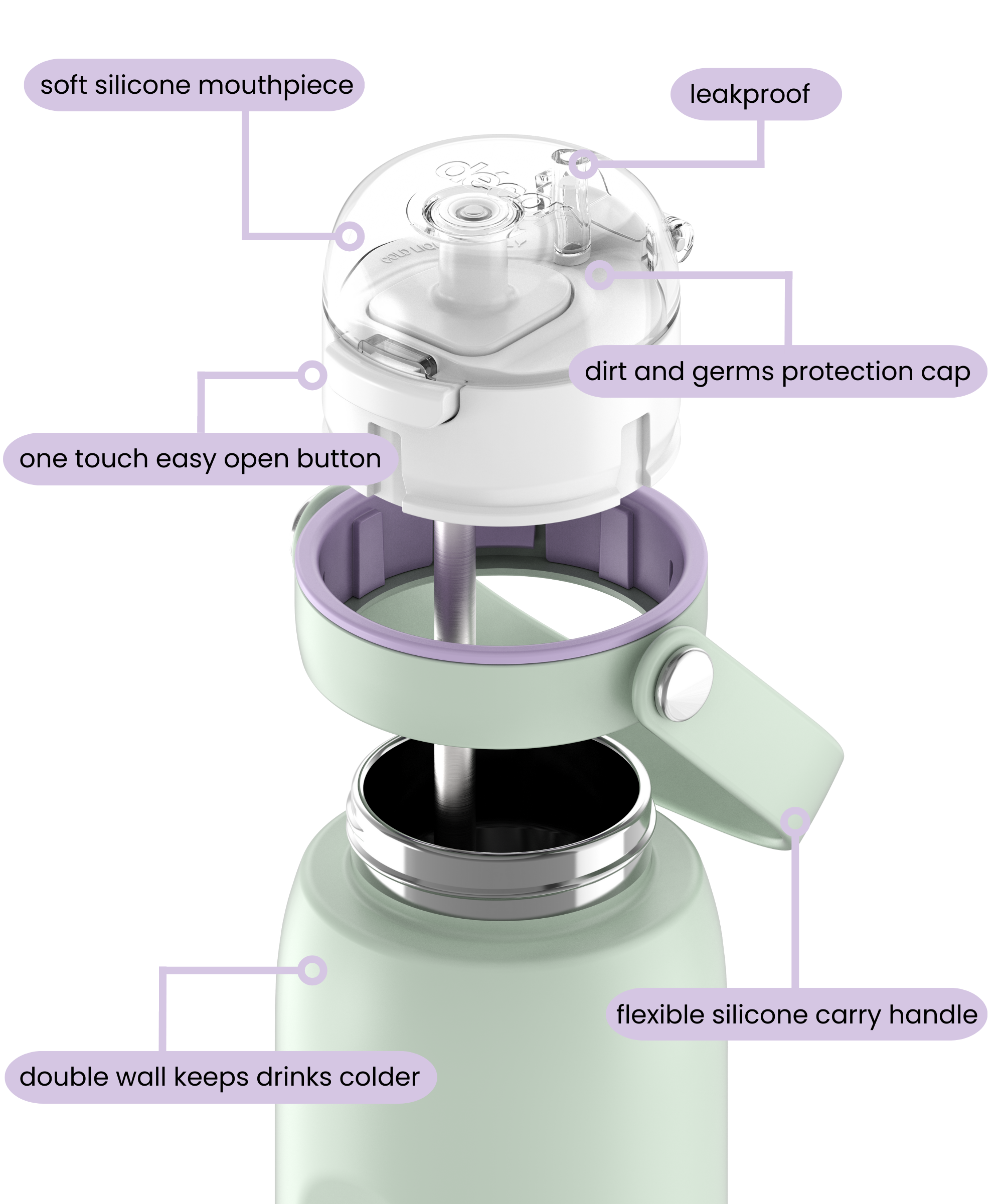 Insulated Stainless Steel Bottle with Deluxe Straw and Flexi Handle, 750ml