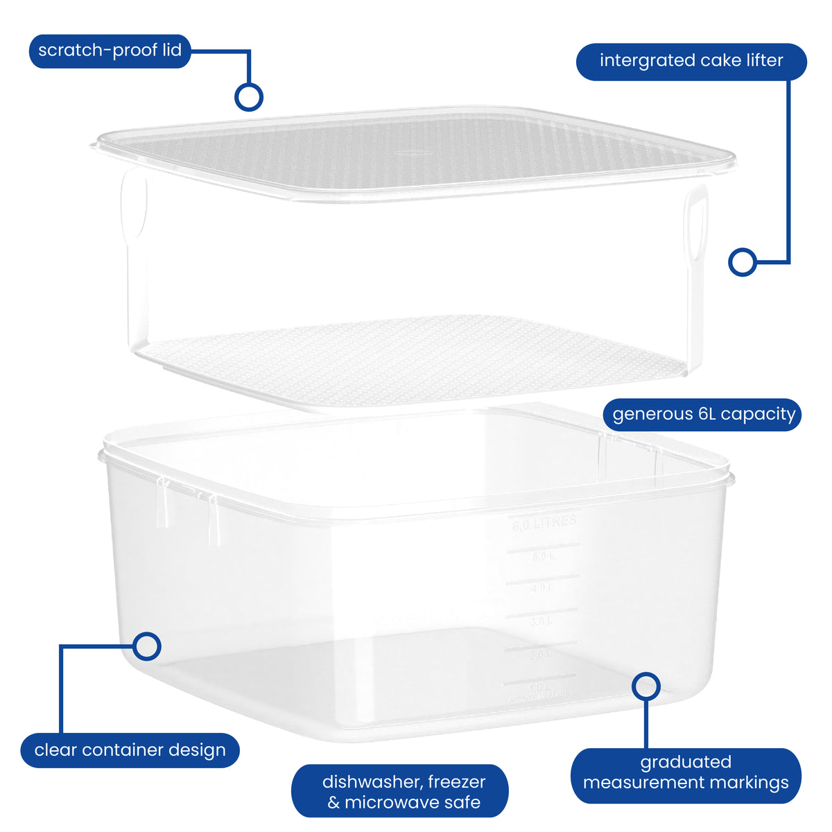 Cake Container with Lifter, 6L
