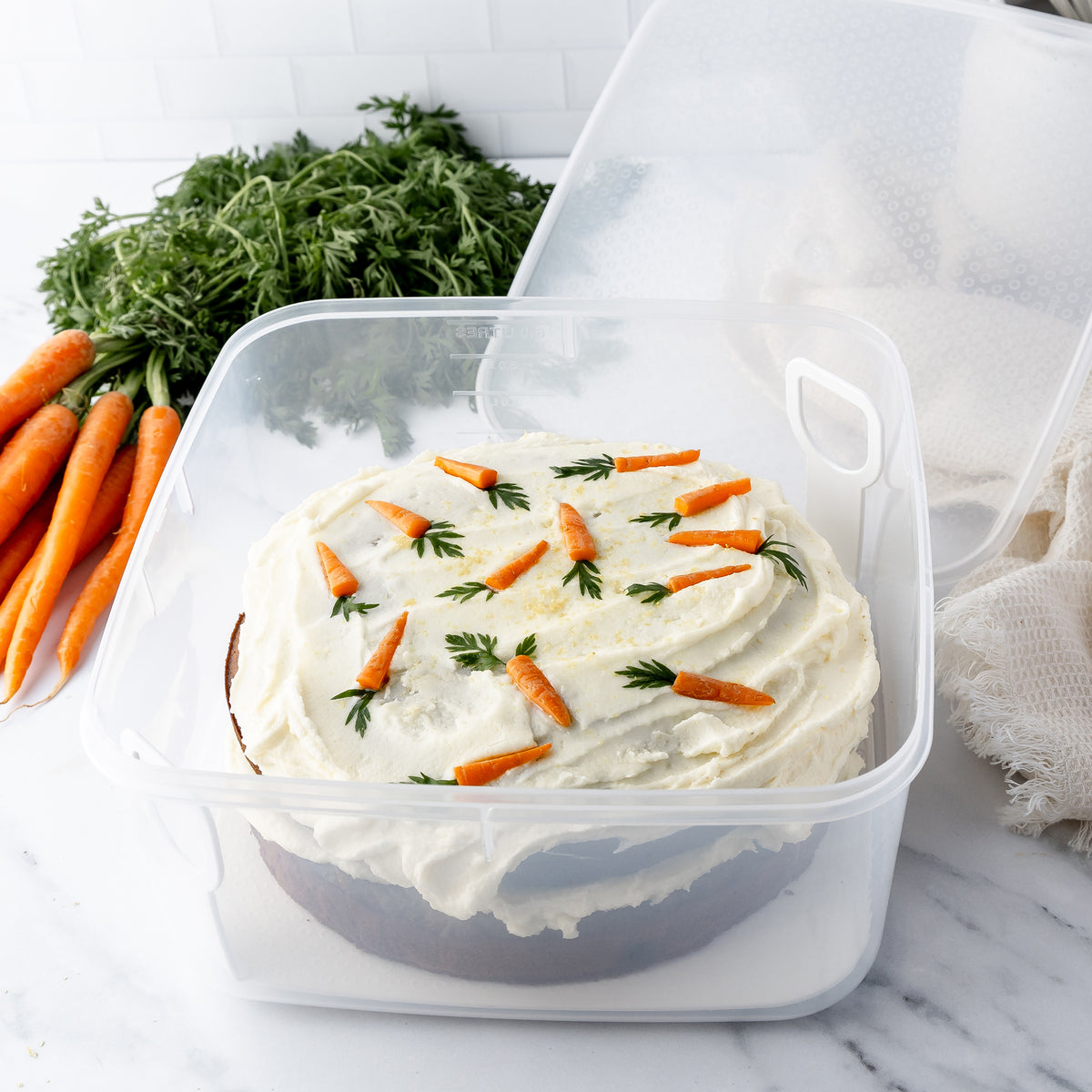 Cake Container with Lifter, 6L