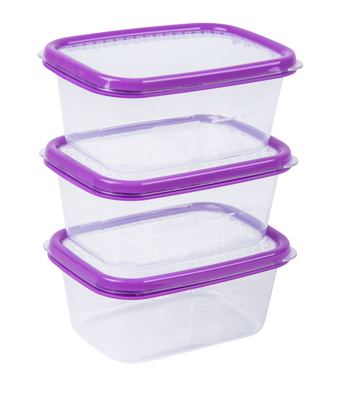 Basics Food Container Oblong, Purple, 500ml, 3pk
