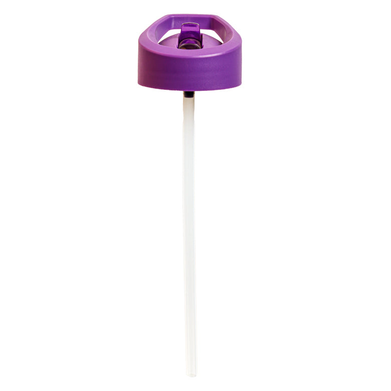 Quad Bands Tritan™ Bottle Lid & Straw Set, 750ml, Purple