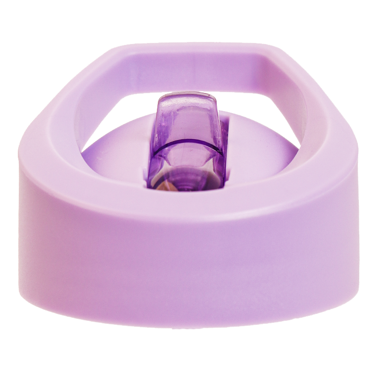 Quad Bands Tritan™ Bottle Lid & Straw Set, 750ml, Mauve