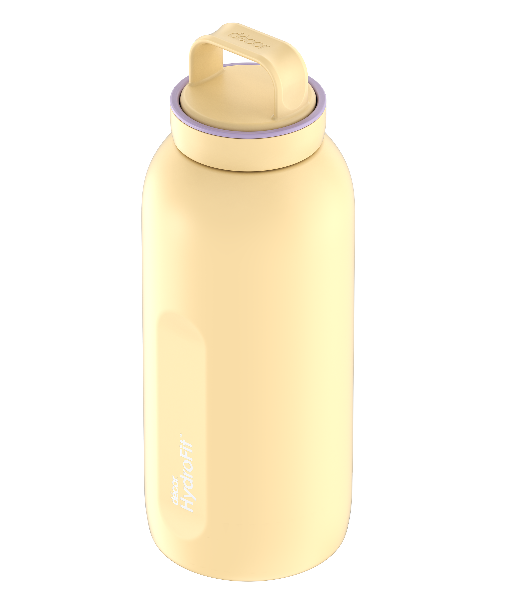 Insulated Stainless Steel Bottle with Screw Cap and Carry Handle, 1.5L