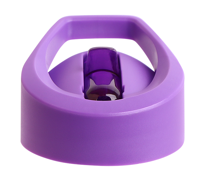 Quad Bands Tritan™ Bottle Lid & Straw Set, 750ml, Purple