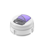 White/Purple