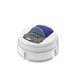 White/Navy