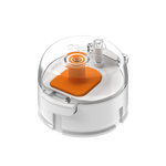 Apricot/White