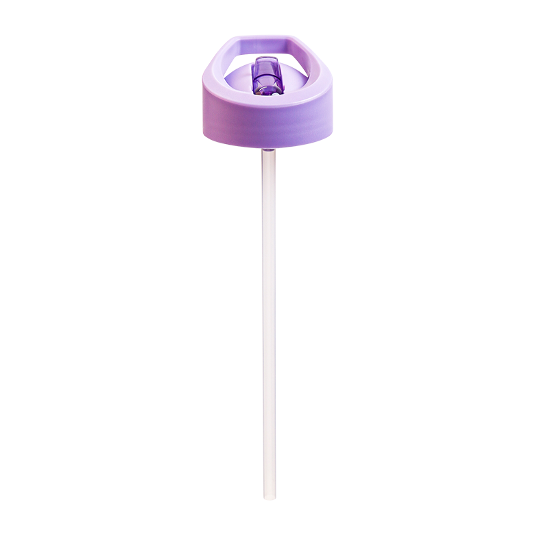 Quad Bands Tritan™ Bottle Lid & Straw Set, 750ml, Mauve