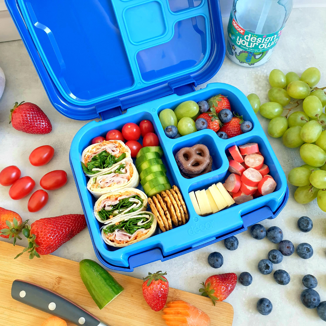blue bento box lunch box school lunches