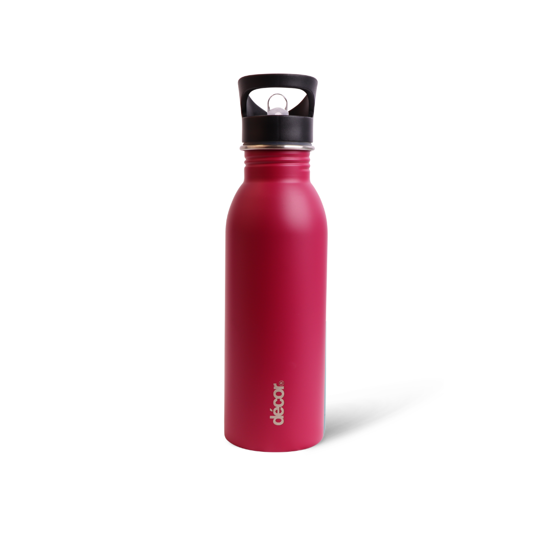 Snap n Seal Stainless Steel Bottle, 600ml