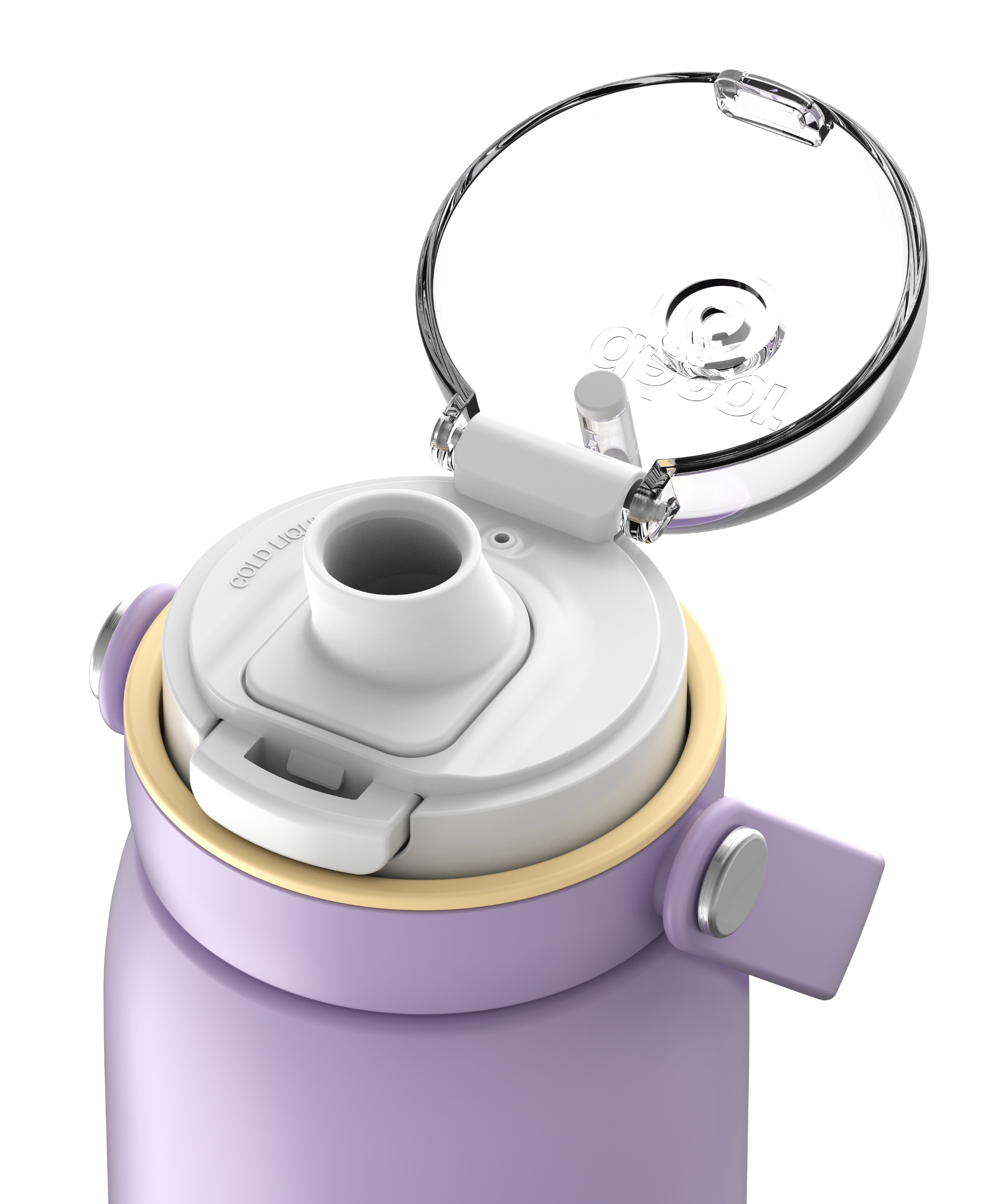 Insulated Stainless Steel Bottle with Deluxe Chug Cap, 750mL